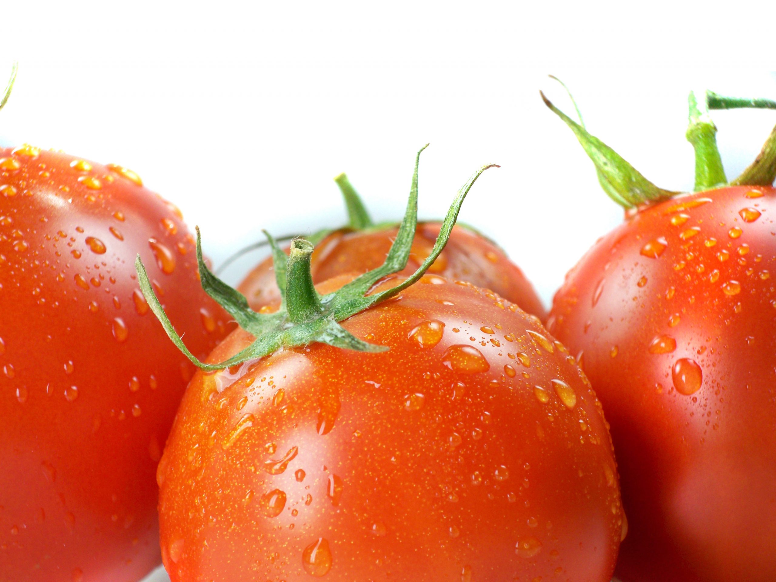 Start Your Own Edible Garden