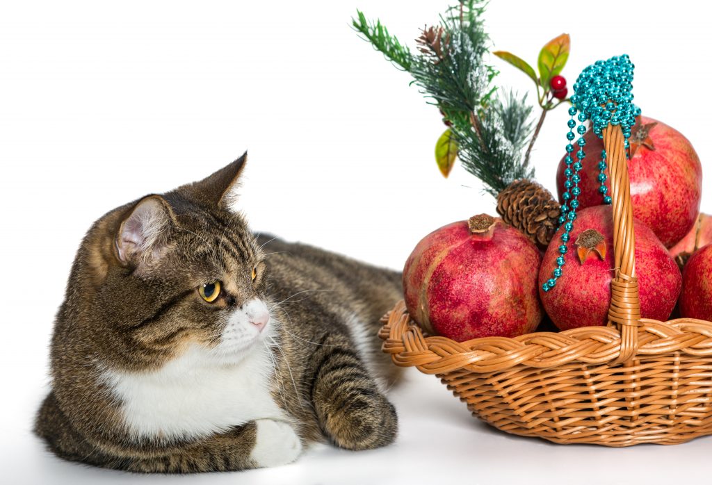 Start Your Own Gift Basket Business