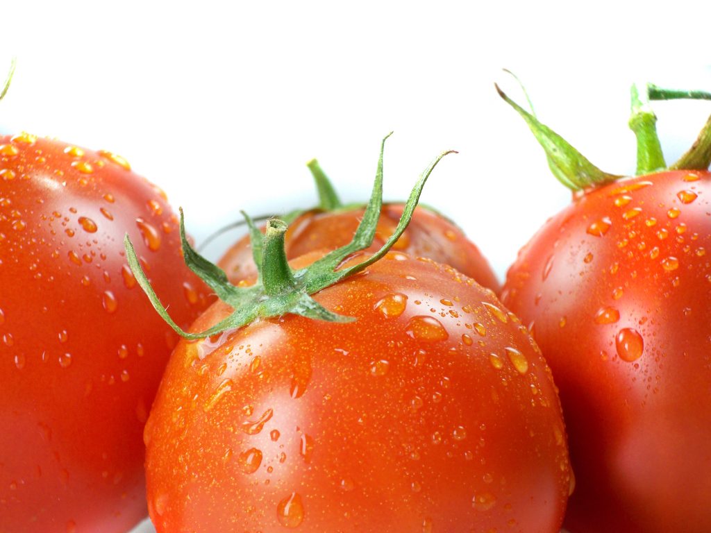 Start Your Own Edible Garden