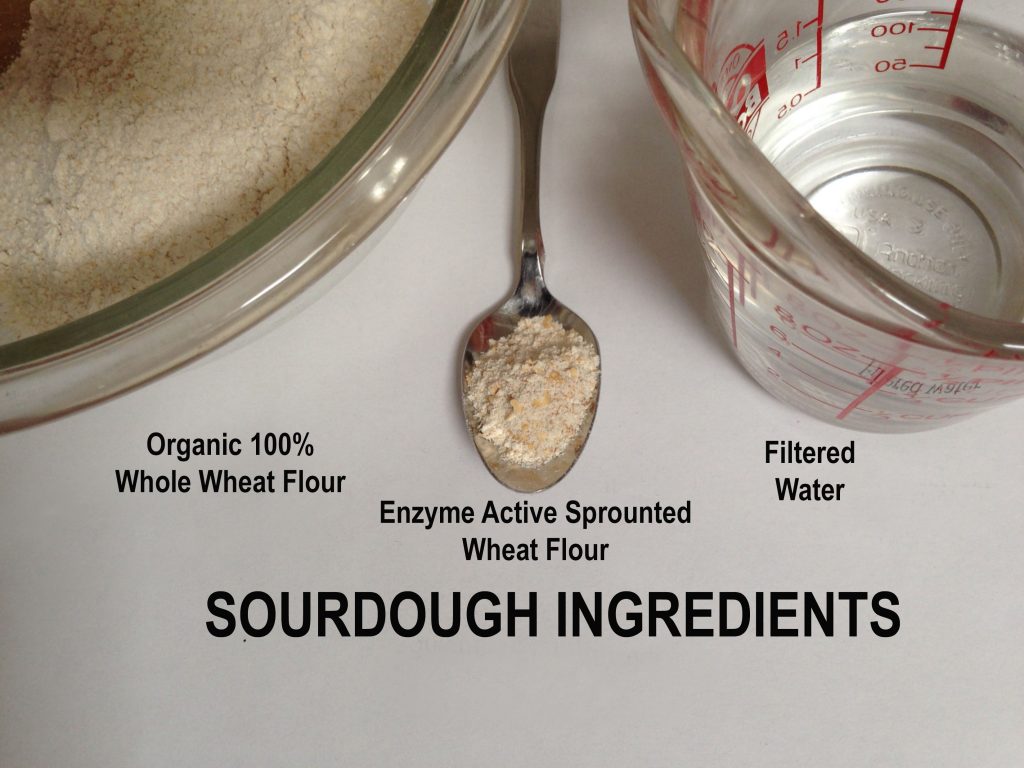 Sourdough ingredients MONICA SPILLER 1024x768