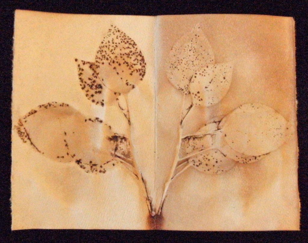 ECOPRINTING summer2019 1024x810