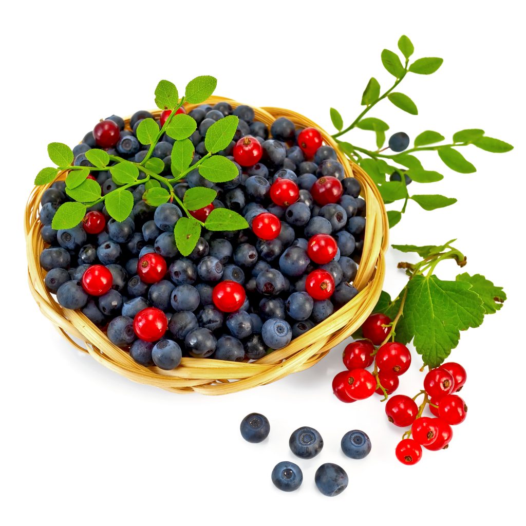 Fruit 110145381 1024x1024