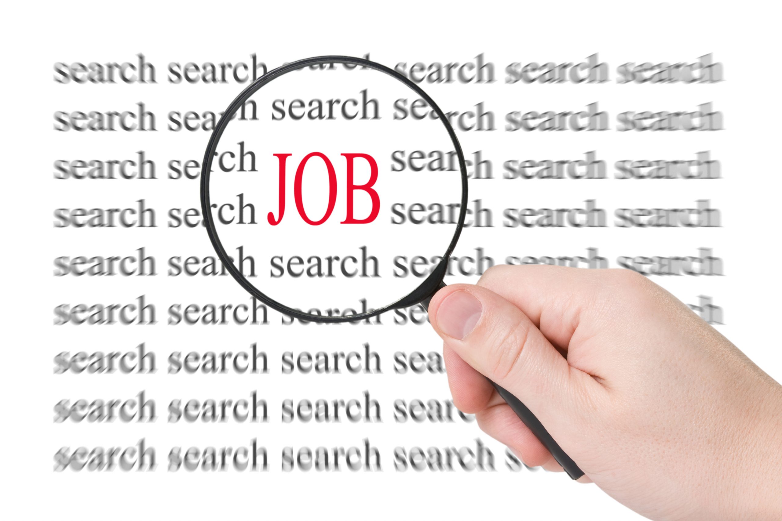 12 Steps to a Successful Job Search