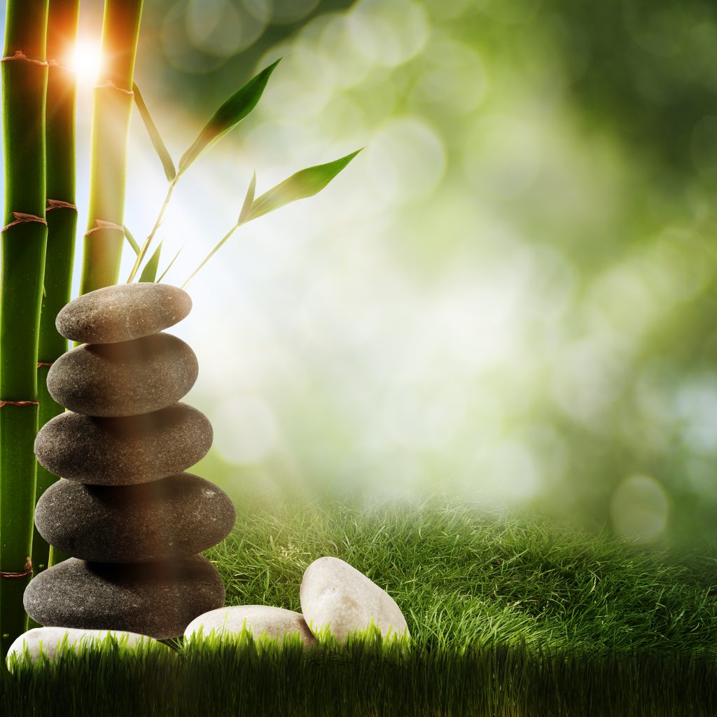 INTRO TO NATURAL HEALTH AND HEALING ONLINE SPRING2020 109913605 1024x1024