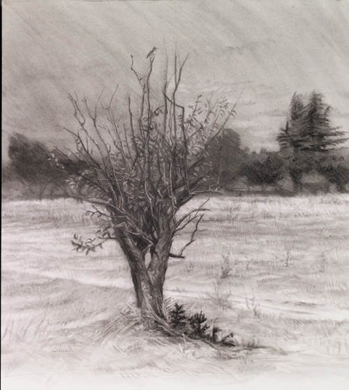 The Last Prune Tree - Robert Schick, Instructor