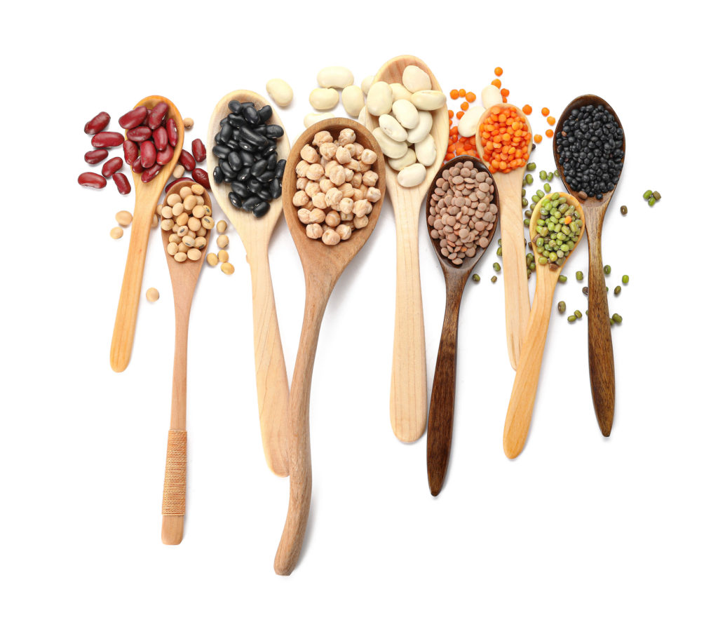 plant-based cooking