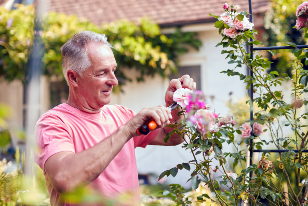 retired man gardening