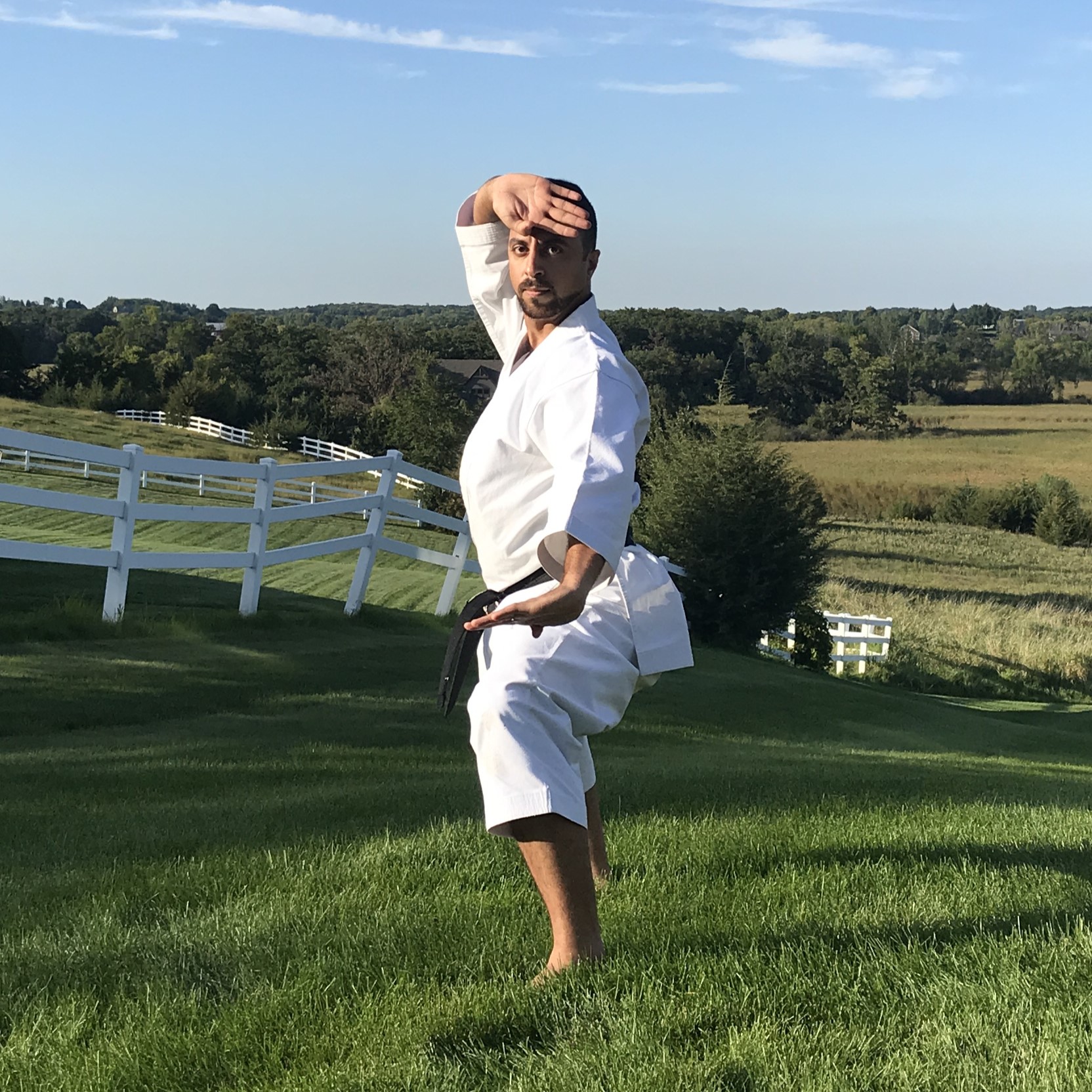 Farbod Tabesh - Karate