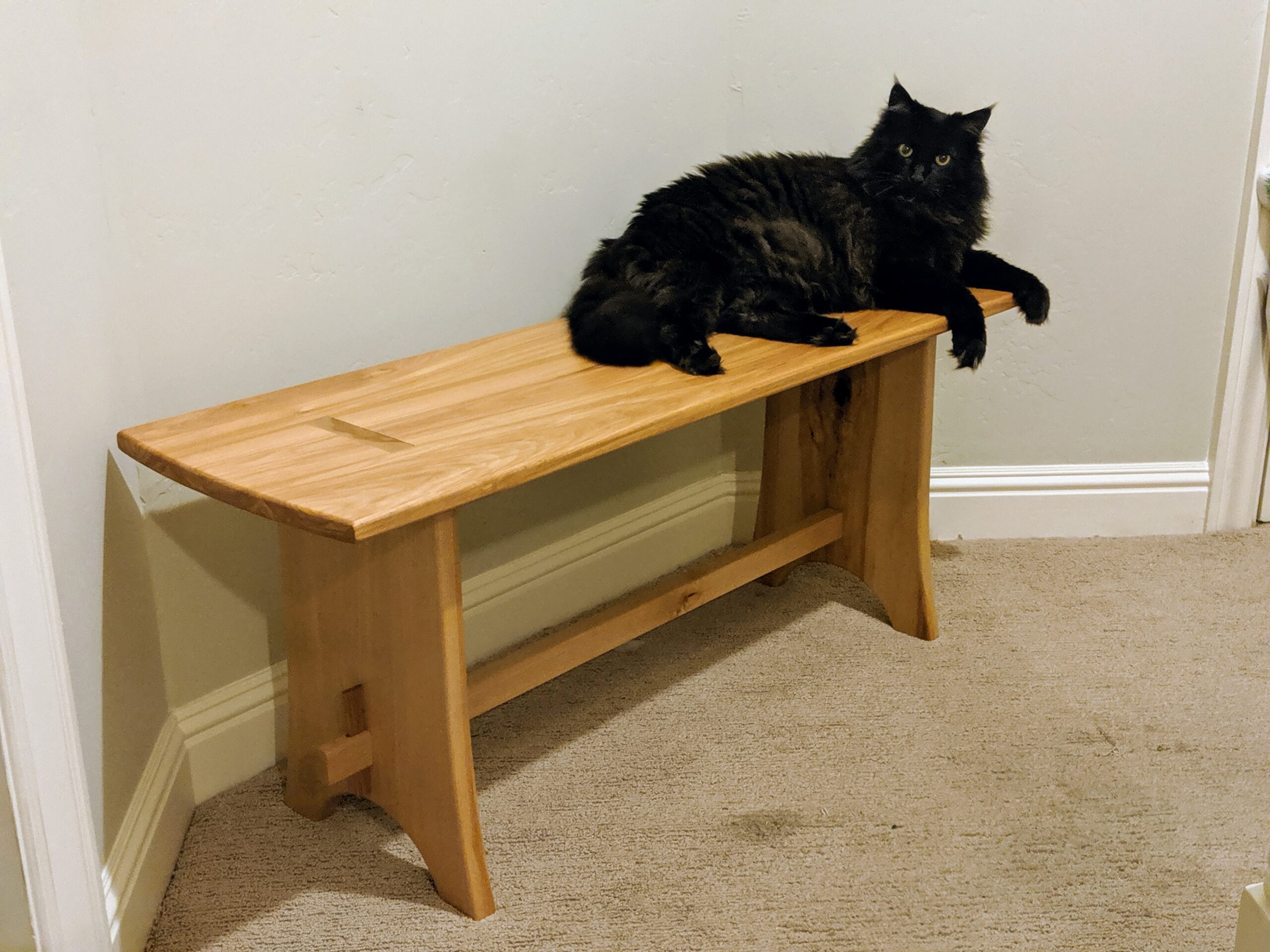 knock down bench 1